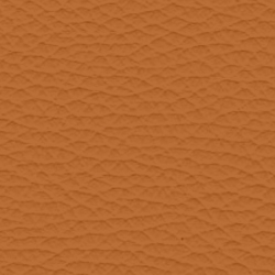 COLOURLOCK LEATHER FRESH – PELLE CUOIO IN MOBILI 